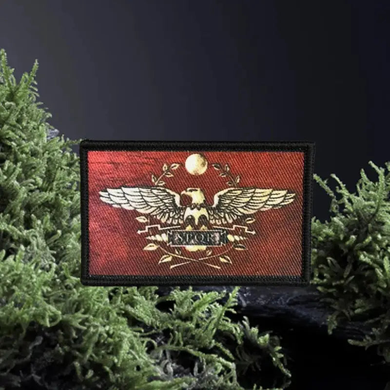 SPQR patch outdoor scene